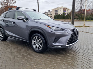 Lexus NX Series foto 5