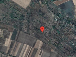 Продаётся земельный участок в селе Копанка Каушанского района площадью 19.3273 Гектара foto 1