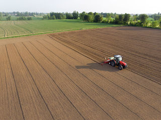 Tractor pentru podgorii / livezi / câmpuri foto 5