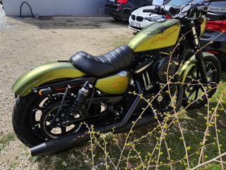 Harley - Davidson Sportster Iron 883 foto 14