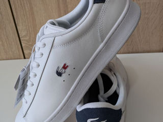 Lacoste 43