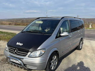 Mercedes Viano