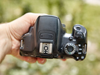 Canon 650D + Sigma 17-50mm f/2.8 foto 6