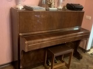 Пианино  fibich, инструмент немецкий. механика и звучание идеальны !!!!  1990 евро. foto 1