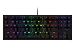 Hator Rockfall Evo  TKL black