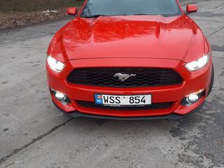 Ford Mustang foto 1