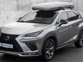 Lexus NX Series