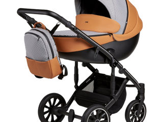 Carucior Anex M/Type 2 in 1 Foxy foto 0