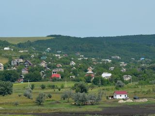Участок возле леса,траса Кишинев-Оргеев. foto 2