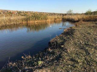 Vând ferma cu teritoriu de 1,3 ha gratiesti -hulboaca foto 3