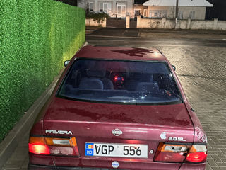 Nissan Primera foto 2