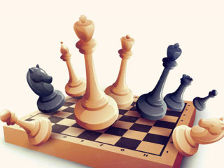 User-15621