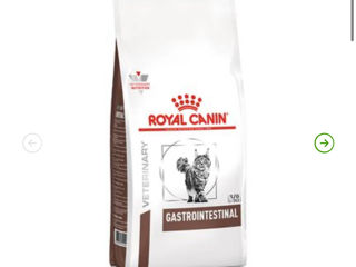 Royal canin  Hills  Calibra  hrana mancare  pentru caini pisici foto 5