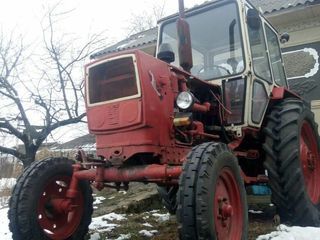Cumpar tractor MTZ 80-82 din orce an. foto 8