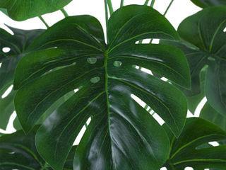 Planta artificiala Cilgin G333 Monstera 60cm foto 3