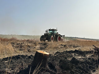 Defrișăm terenuri / Servicii de defrișare terenuri. foto 9