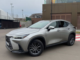 Lexus NX Series foto 2