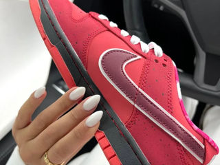 Nike SB Dunk Lobster Red Women's foto 6