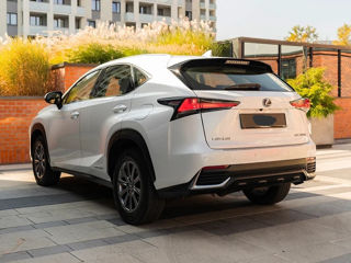 Lexus NX Series foto 5