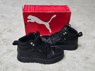 Puma mar.39