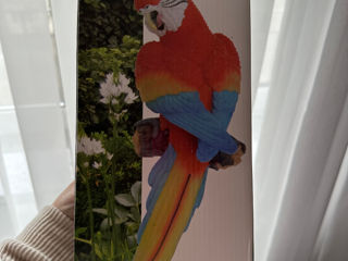 Декоративный попугай foto 2