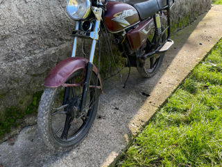 Alpha Moto 110 foto 4