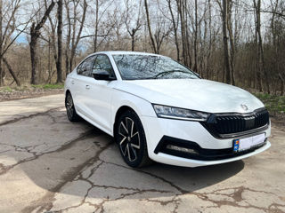 Skoda Octavia фото 7