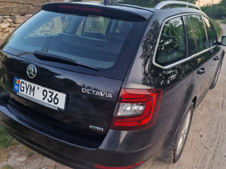 Skoda Octavia foto 2