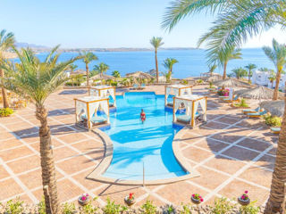 Egypt! Club Reef Sharm el Sheikh 4*! Din 27.04 - 6 nopti!