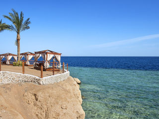 Египет-Шарм Эль Шейх,Отель-"Sunrise Montemare Resort Grand Select 5*"Вылет 26.07 от "Emirat Travel" foto 5