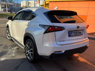 Lexus NX Series