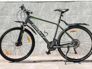 Giant Roam 1 Disc