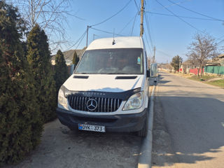 Mercedes Дельфин Автотуризм фото 0