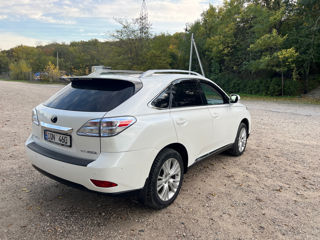 Lexus RX Series