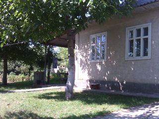 Продаётся дом в Сынжерей  .  р -  он  хлеб  завода   ... foto 4