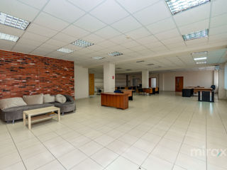 Oficii open space în chirie 350 m2. IT, Call centru.
