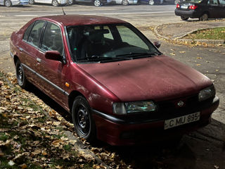 Nissan Primera foto 3