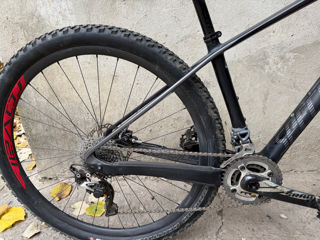 Specialized expert foto 3