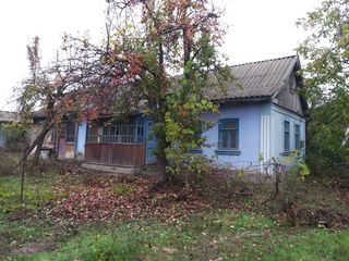 Se vinde casa pe pamint in rn.Leova, sat.Sarata-Noua, str. Doina foto 2
