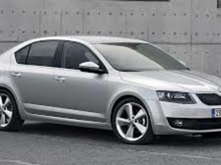 Skoda-octavia-1,2,3,superb-1,2,3,fabia-1,2,3, rapid,felicia foto 3