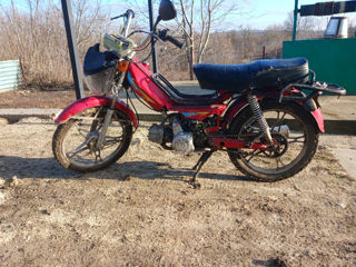 Delta Moto Orox 49cc