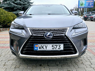 Lexus NX Series