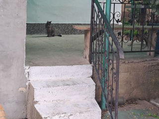 Se vânde  două case pe un singur teren, direct de la proprietari ! foto 9