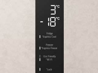 Frigider LG cu dezghețare No Frost (384L) / Livrare în toată Moldova / foto 8