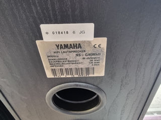 Yamaha boxe foto 5