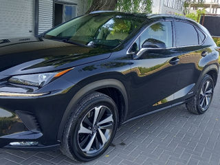 Lexus NX Series