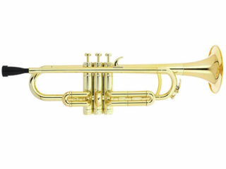 Trompetă muzicală Startone PTR-20 Bb- Trumpet Gold. Livrare în toată Moldova. Plata la primire