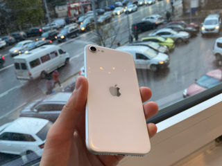 iPhone SE 2020 foto 6