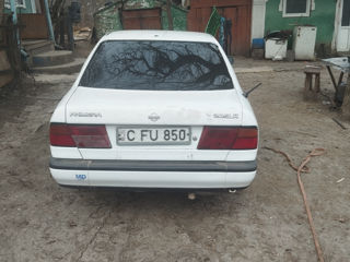 Nissan Primera foto 3