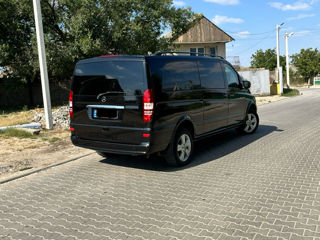 Mercedes Viano foto 2